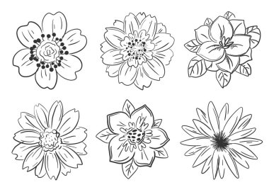 Bir çift güzel tek renkli çiçek seti. Beyaz arkaplanda vektör izolasyonu.