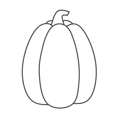 Kabak hatları, karalamalar, hatlar. Vektör illüstrasyonu.