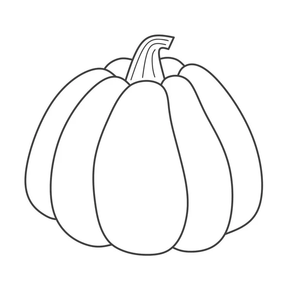 Pumpkin Obrys Čmáranice Obrys Vektorová Ilustrace — Stockový vektor