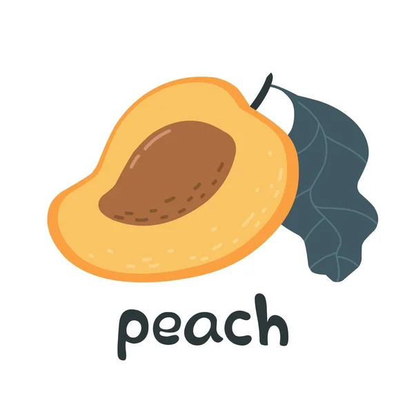 Heldere Creatieve Perzik Met Het Woord Peach Vector Illustratie Met — Stockvector