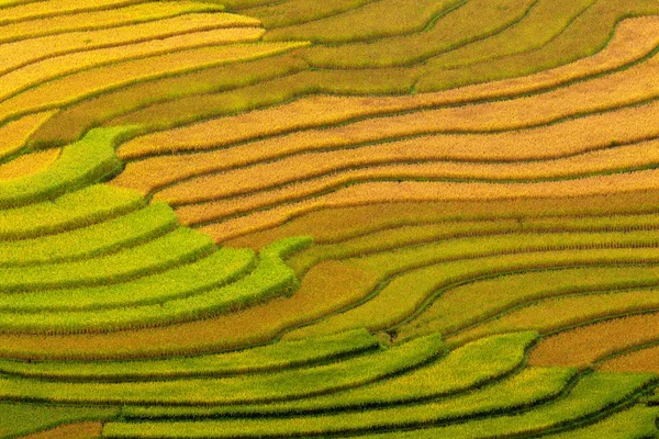 越南梯田的梯田 — 图库照片