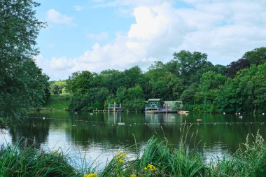 Hampstead Heath erkek yüzme havuzu, Londra parkının yaz zamanında.
