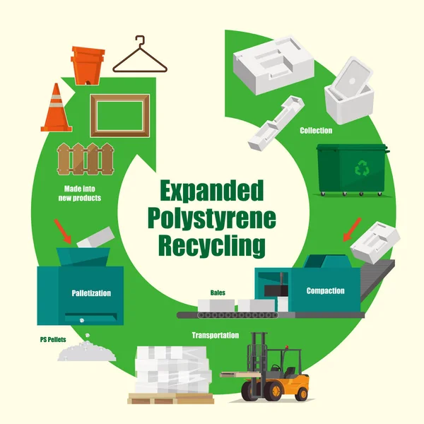 Illustrative Diagram How Expanded Polystyrene Recycled — Stock Vector