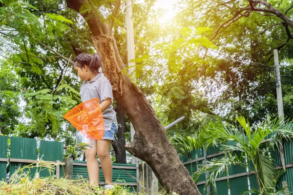 Asyalı Bir Kız Geniş Bir Dünyada Macera Yaşıyor Bir Böcek — Stok fotoğraf
