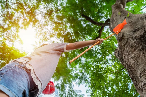 Asiatisk Flicka Äventyr Bred Värld Tillsammans Med Bugg Catcher Och — Stockfoto