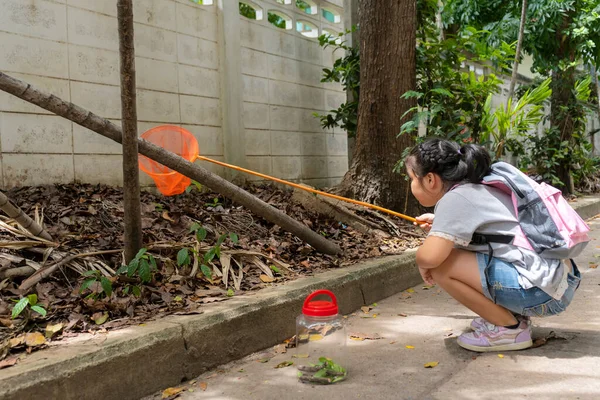 Asian Girl Bug Catcher Catching Insects Adventuring Wide World Concept — Stock Photo, Image
