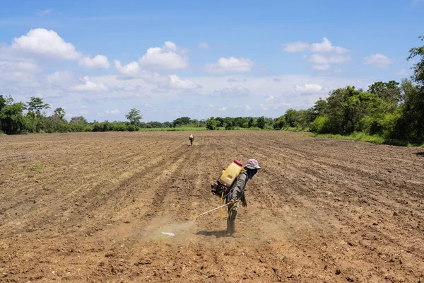 Thai Farmer Spraying Insecticide Rice Field Working Team — Stock Photo, Image