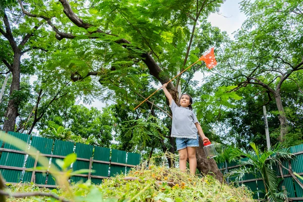 Asian Girl She Adventuring Wide World Bug Catcher Stand Hill — Stock Photo, Image