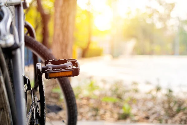 Dim image of bicycle and its pedal. The pedal against the park backdrop has trees and bright sunlight.