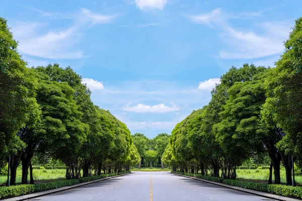 Long road with green grass and trees and background blue sky with white clouds. Long road in green field
