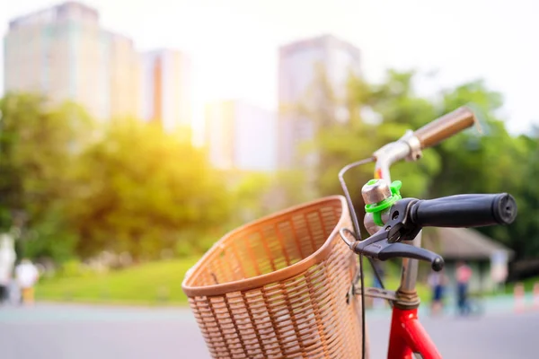 Bicicletta Rossa Nel Fresco Parco Estivo Pista Ciclabile Ciclabile Strada — Foto Stock