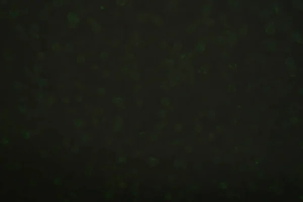 Puha Zöld Természetes Bokeh Háttér Zöld Csillogó Fények Ünnepi — Stock Fotó