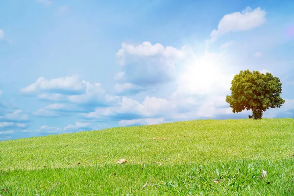 Beautiful Green Meadow Field Hill White Clouds Blue Sky White Stock Picture
