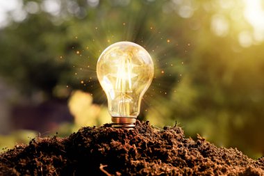 Sıcak güneş ışığıyla toprakta parlayan bir ampul temiz enerjiyi, yaratıcılığı, yeşil yeniliği ve sürdürülebilir fikirleri sembolize eder. Yenilenebilir güç ve ilhamla ilgili kavramlar için mükemmel..
