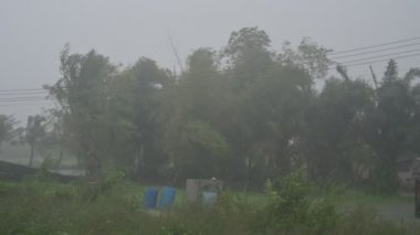 Fırtına ormanı vuruyor ve Tayland 'da şiddetli yağmur yağıyor. Nakhon Si Thammarat