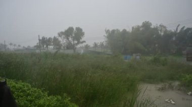 Fırtına ormanı vuruyor ve Tayland 'da şiddetli yağmur yağıyor. Nakhon Si Thammarat