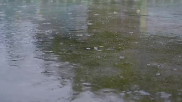 A chuva está caindo no chão. — Vídeo de Stock