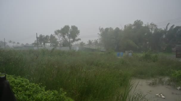 Шторм обрушивается на лес, и в Таиланде идет сильный дождь. Накхон Си Таммарат — стоковое видео