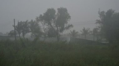 Fırtına ormanı vuruyor ve Tayland 'da şiddetli yağmur yağıyor. Nakhon Si Thammarat
