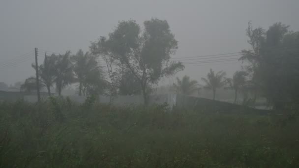 嵐が森を襲い、タイでは大雨が降っている。Nakhon Si Thammarat — ストック動画