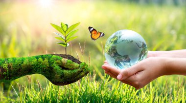 Kavram Dünyayı kurtar Çevreyi kurtar Dünya yeşil bokeh arka planının çimlerinde