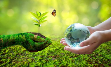 Kavram Dünyayı kurtar Çevreyi kurtar Dünya yeşil bokeh arka planının çimlerinde