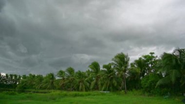 Fırtına ormanı vuruyor ve Tayland 'da şiddetli yağmur yağıyor. Nakhon Si Thammarat