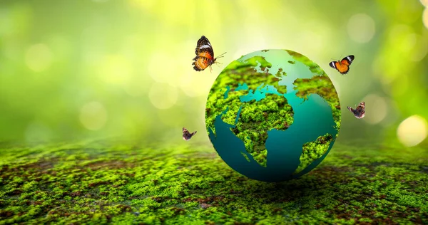 Koncept Rädda Världen Rädda Miljön Världen Gräset Den Gröna Bokeh — Stockfoto