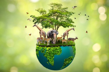 Doğa Koruma Alanı Doğal Hayatı Koruma Alanı. Kaplan Geyiği Küresel Isınma Gıda Ekolojisi. İnsan elleri vahşi ve vahşi hayvanları korur.
