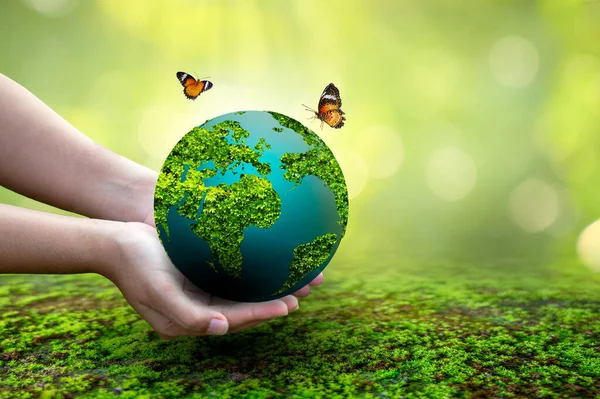 Concept Save the world save environment The world is in the grass of the green bokeh background