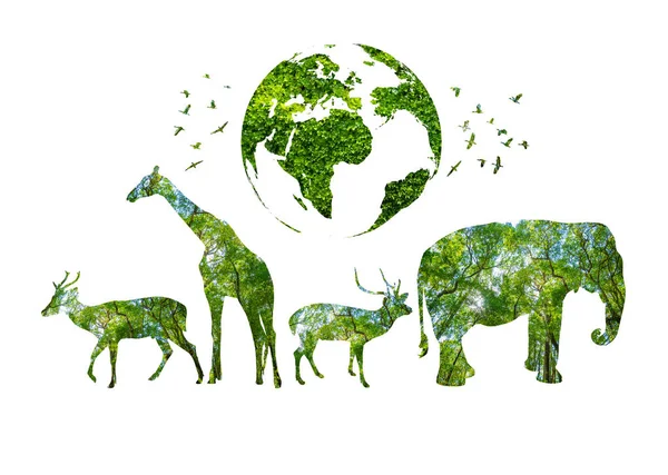 Waldsilhouette Zum Weltnaturerbetag Form Eines Wildtier Und Waldschutzkonzepts — Stockfoto