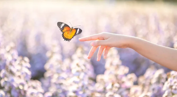 Fata Eliberează Fluturele Din Borcan Momentul Albastru Auriu Concept Libertate — Fotografie, imagine de stoc