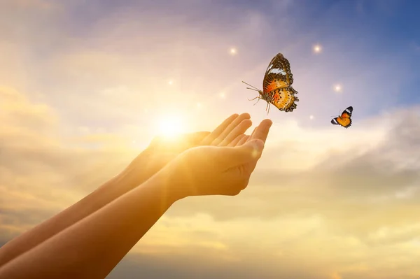 少女は瞬間から蝶を解放する自由の概念 — ストック写真