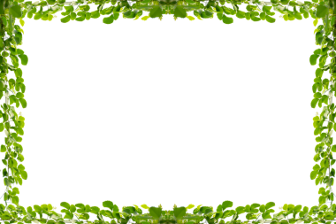 Asma çerçeve yaprak sarmaşık çemberi Şeffaf arkaplan PNG dosyası üzerinde izole