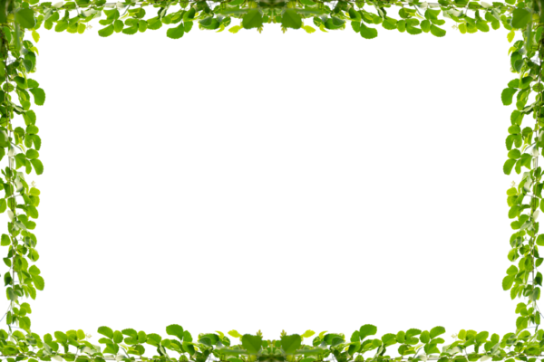 Asma çerçeve yaprak sarmaşık çemberi Şeffaf arkaplan PNG dosyası üzerinde izole