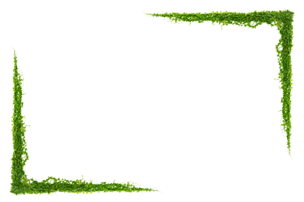 Yeşil sürüngen bitki çerçevesi PNG dekorasyonu için şeffaf arkaplanda izole edildi