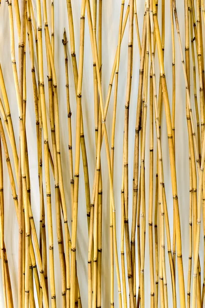 内饰设计的竹子背景 — 图库照片