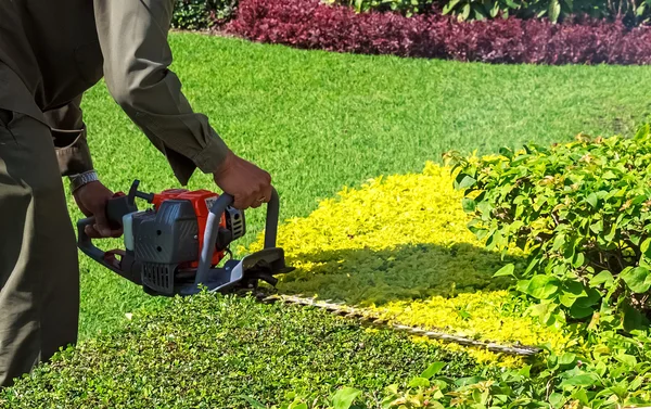 Een mens wegsnijden struik met Heggenschaar, close-up — Stockfoto