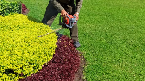 Um homem cortando arbusto com cortador de sebes, espaço copyspace grama verde — Fotografia de Stock