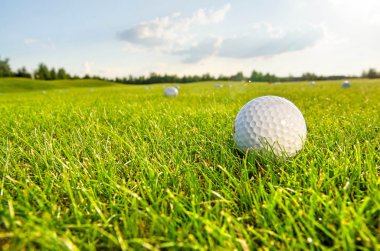 yeşil alan ve beyaz golf topu sanset