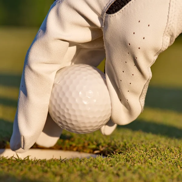 Green field and white golf ball sanset — Stock Photo, Image