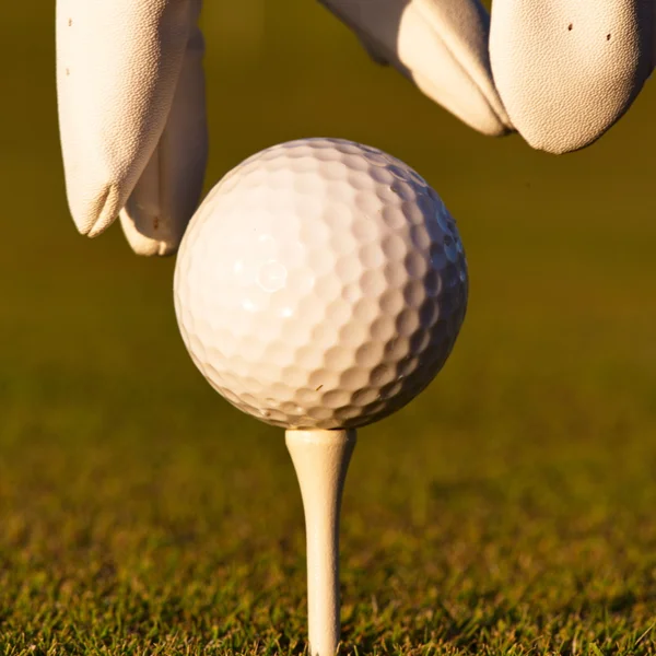 Gröna fält och vit golf ball sanset — Stockfoto