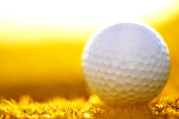 Gröna fält och vit golf ball sanset — Stockfoto