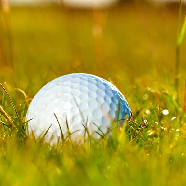 Gröna fält och vit golf ball sanset — Stockfoto