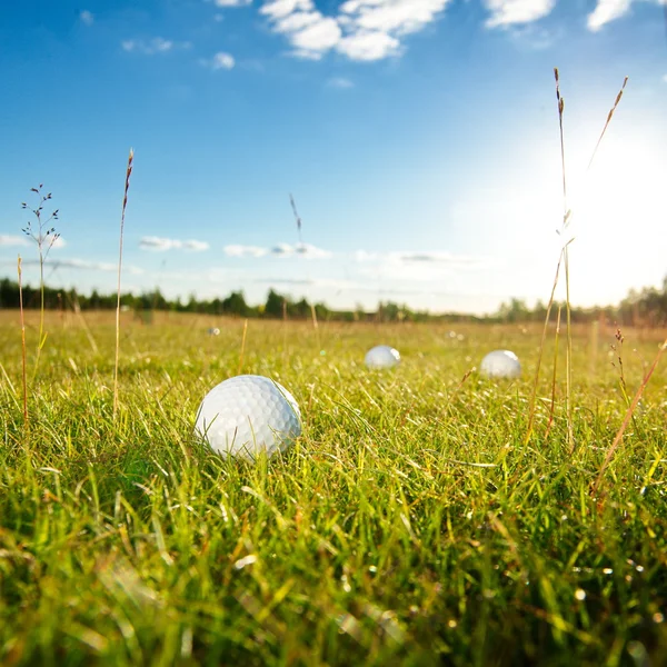 Gröna fält och vit golf ball sanset — Stockfoto