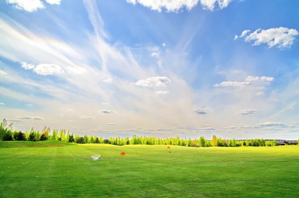 Golfboll på det gröna fältet — Stockfoto