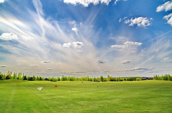Μπάλα του γκολφ στο πράσινο πεδίο — Φωτογραφία Αρχείου