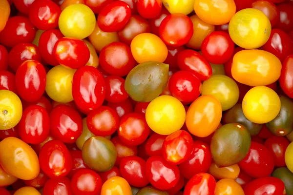 Grupp av färska tomater Stockbild