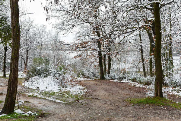 Karlı ağaçlar ve çamurlu zemin