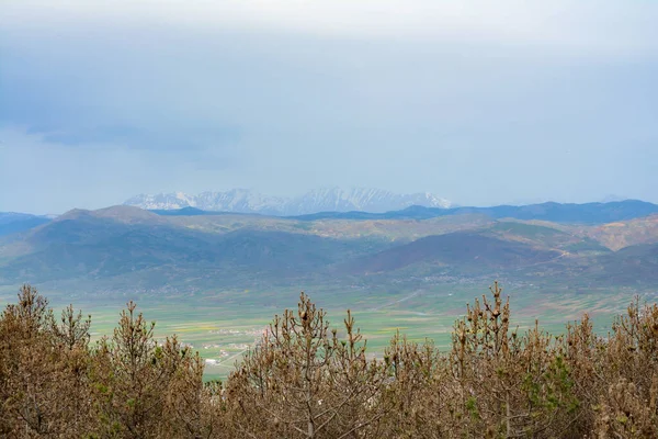 Arka plandaki dağlar ağaç dallarının üzerinde